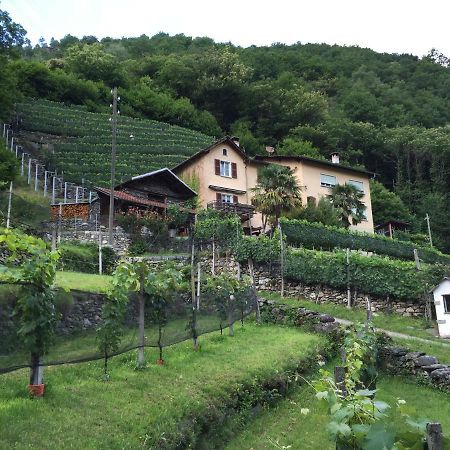 Casa Immersa Nel Vigneto Roveredo Dış mekan fotoğraf