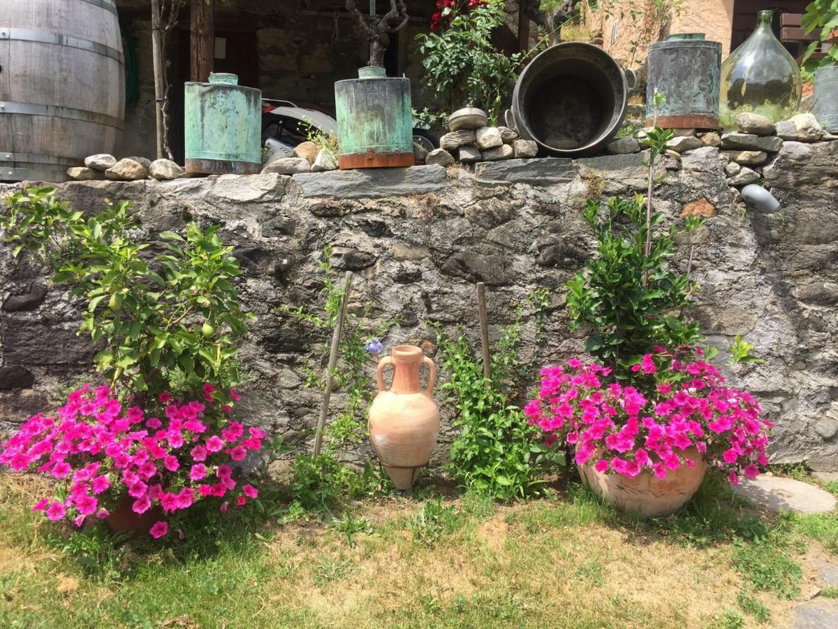 Casa Immersa Nel Vigneto Roveredo Dış mekan fotoğraf