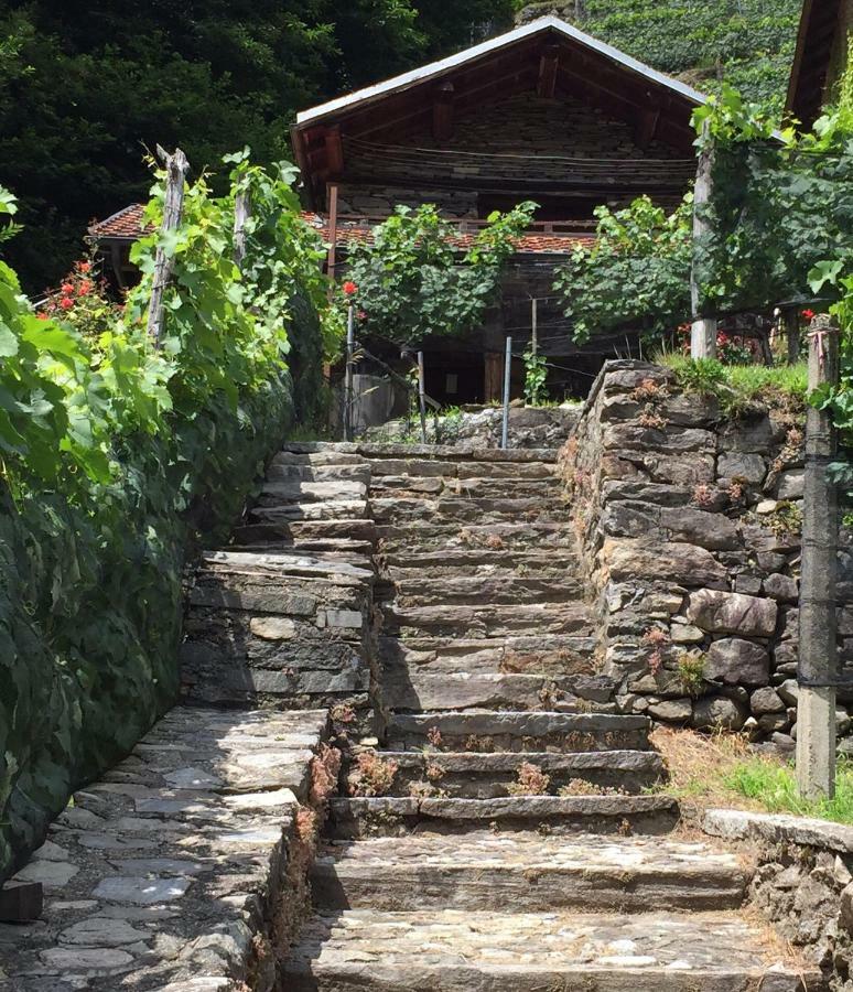 Casa Immersa Nel Vigneto Roveredo Dış mekan fotoğraf
