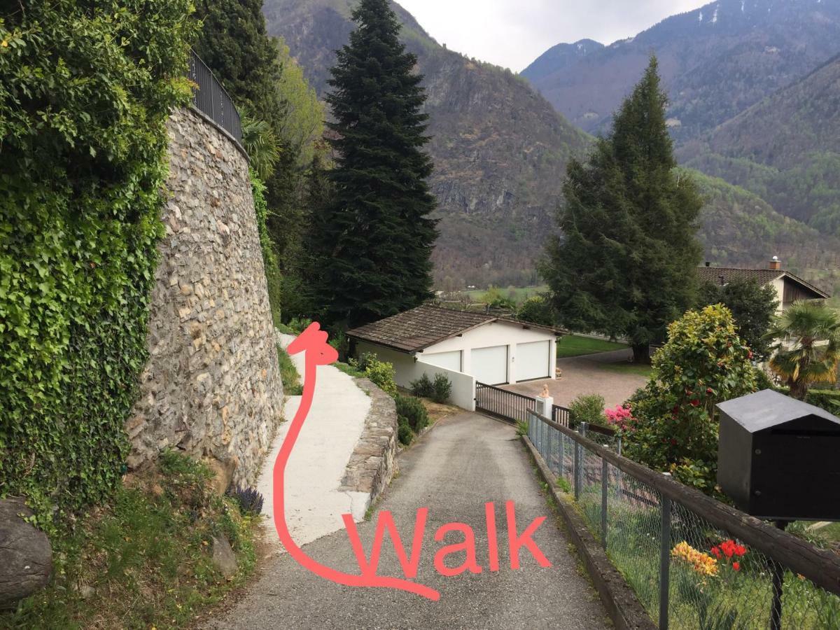 Casa Immersa Nel Vigneto Roveredo Dış mekan fotoğraf