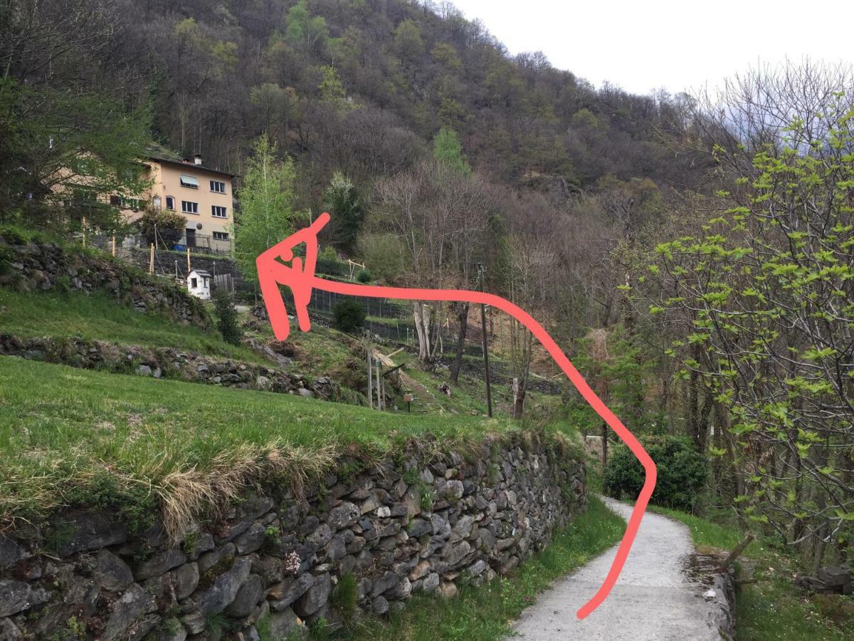 Casa Immersa Nel Vigneto Roveredo Dış mekan fotoğraf